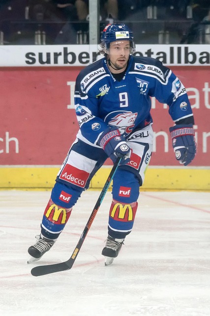 再度出現了 再度出現了